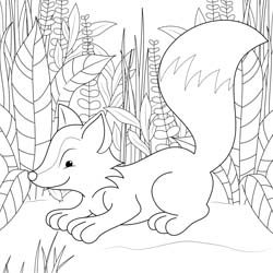 Malvorlage_Fuchs