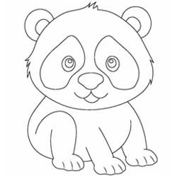 Pandabär